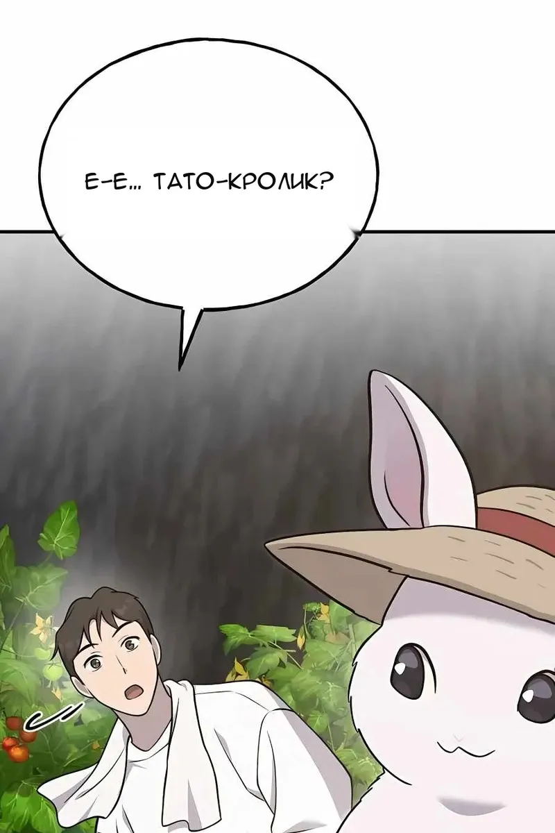 Сторінка 29