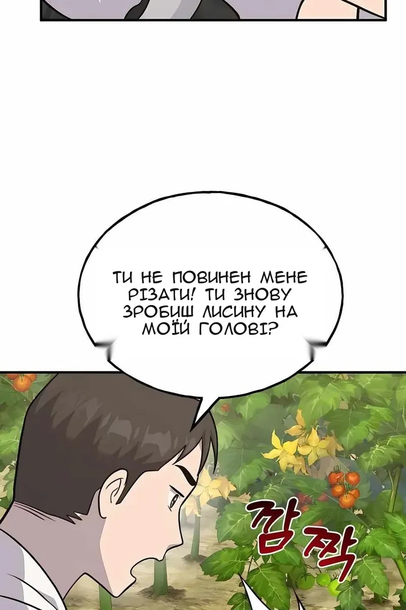 Сторінка 44