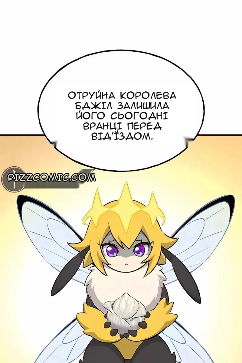 Сторінка 17