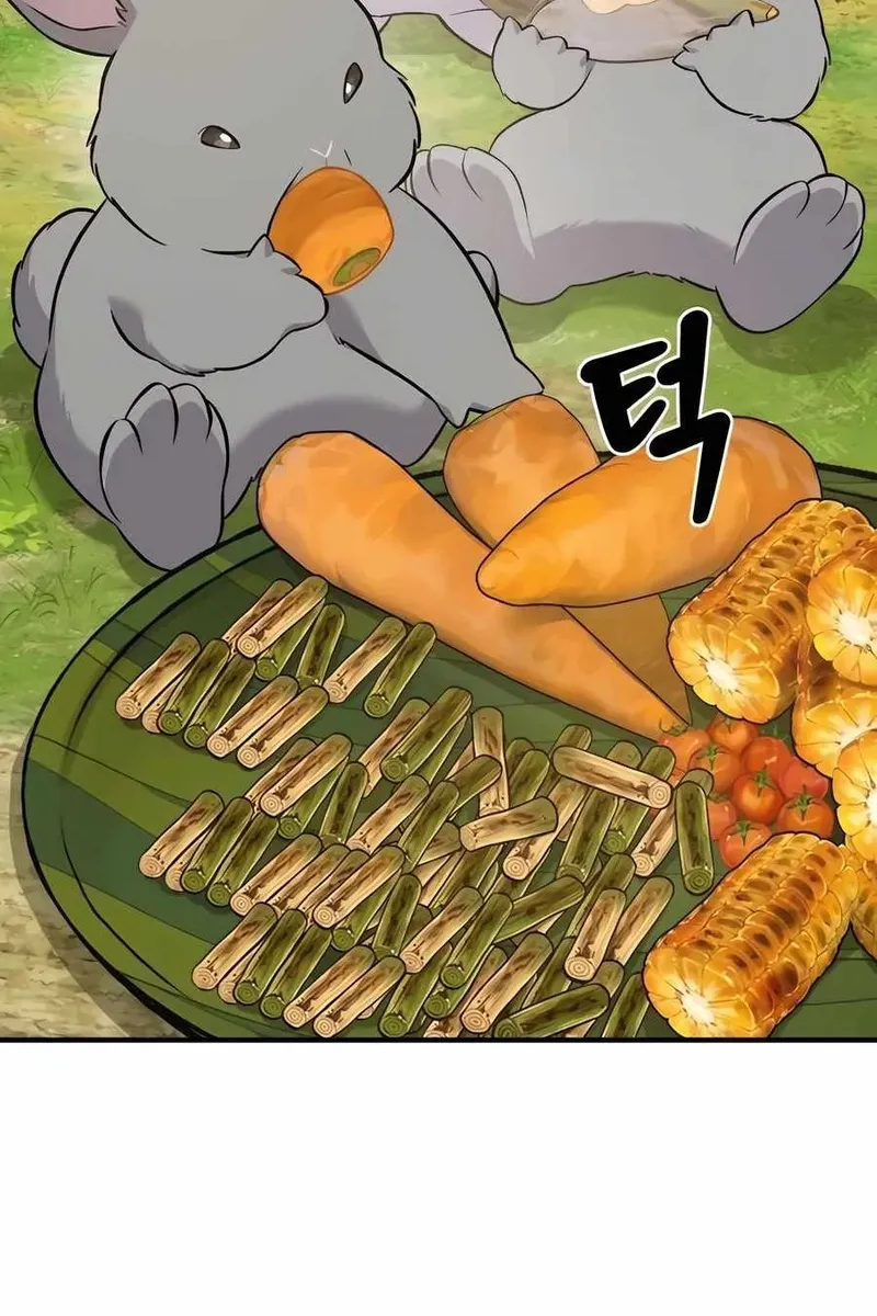 Сторінка 5