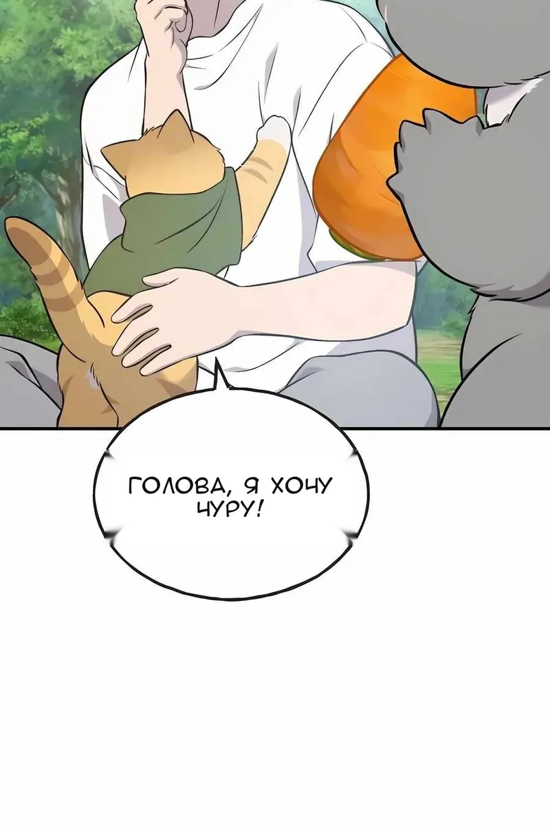 Сторінка 15