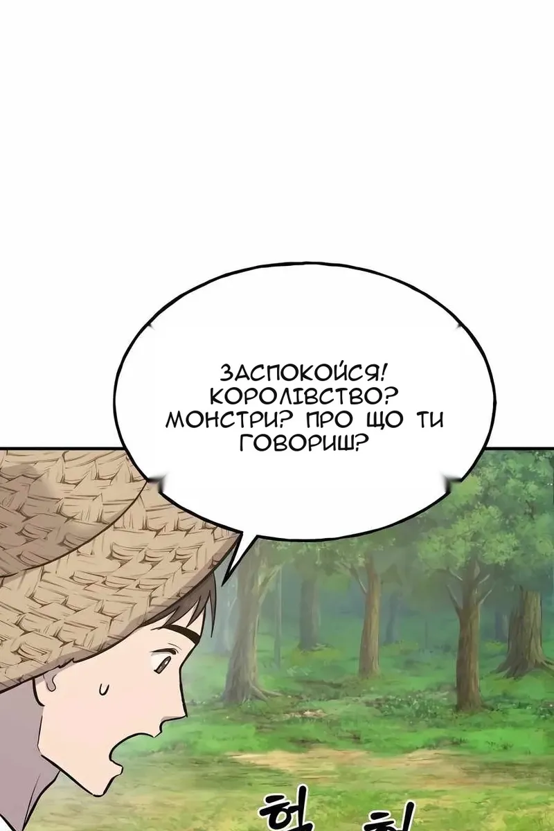 Сторінка 29