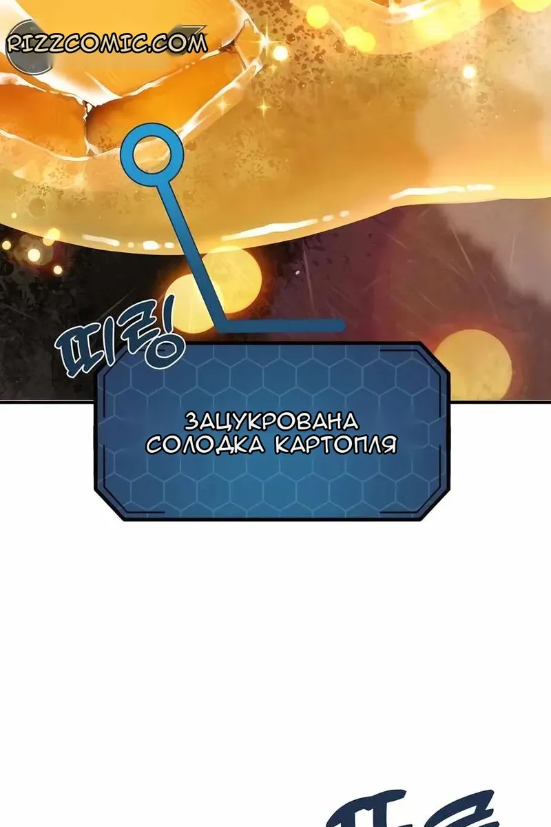 Сторінка 29