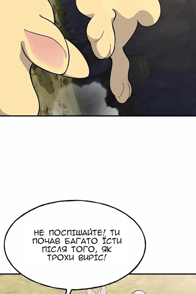 Сторінка 40