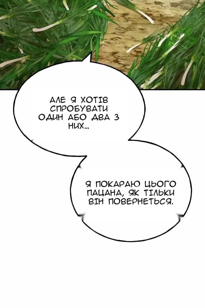 Сторінка 13