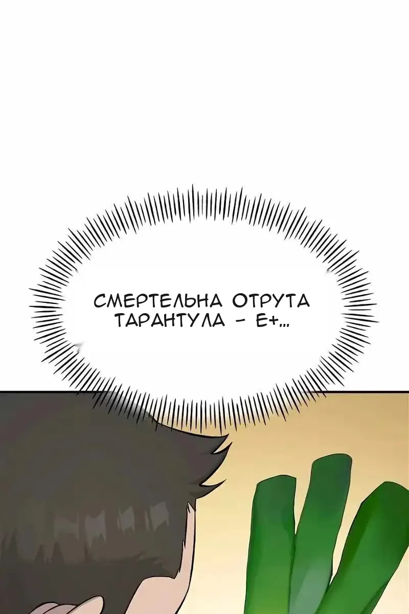 Сторінка 5