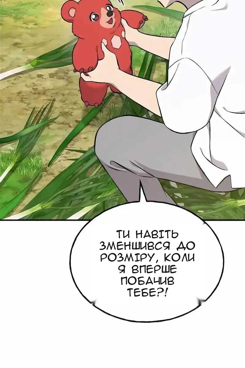 Сторінка 5