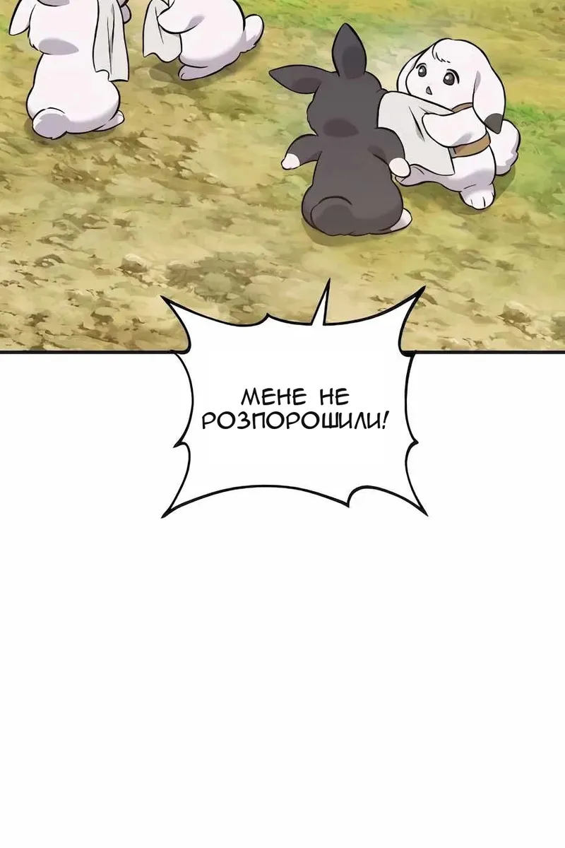 Сторінка 6