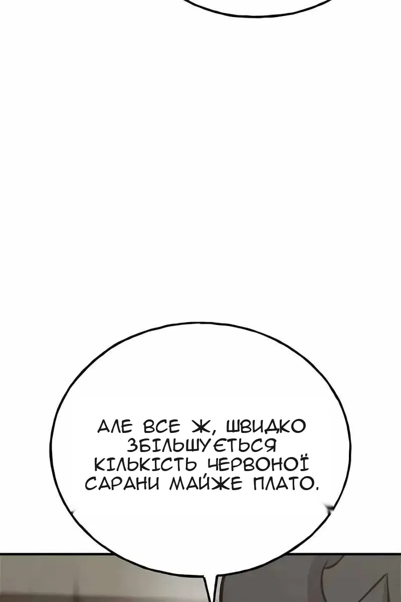 Сторінка 17