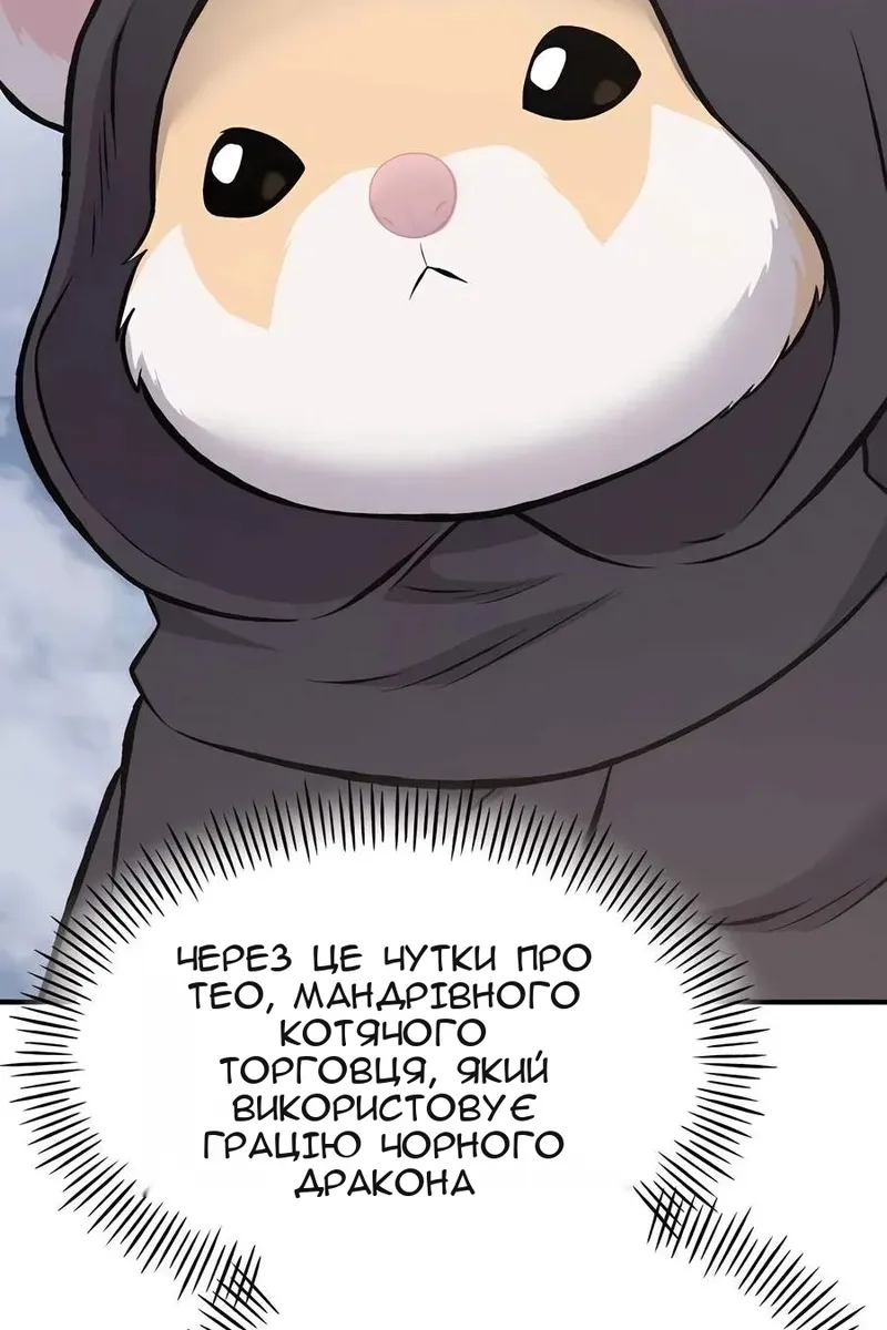 Сторінка 71