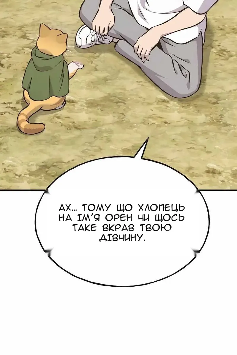 Сторінка 17