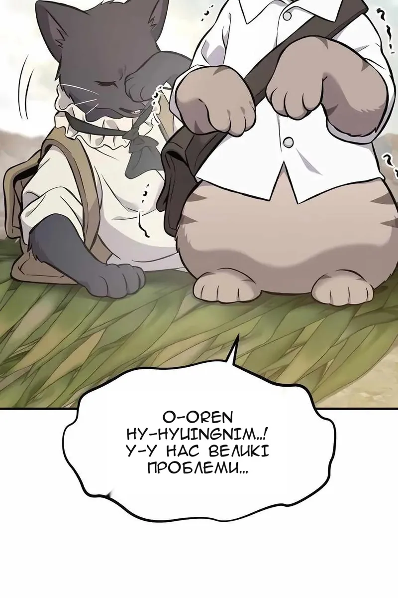 Сторінка 146