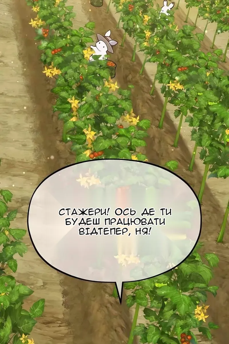 Сторінка 136