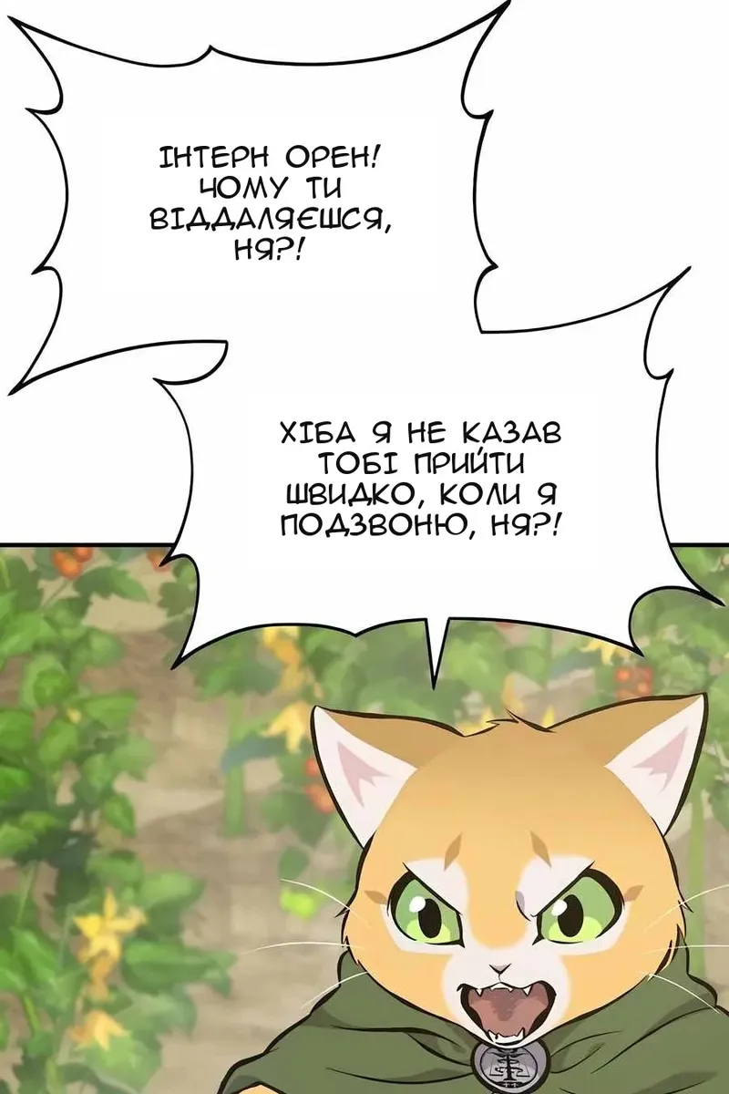 Сторінка 11