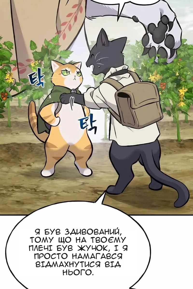 Сторінка 19
