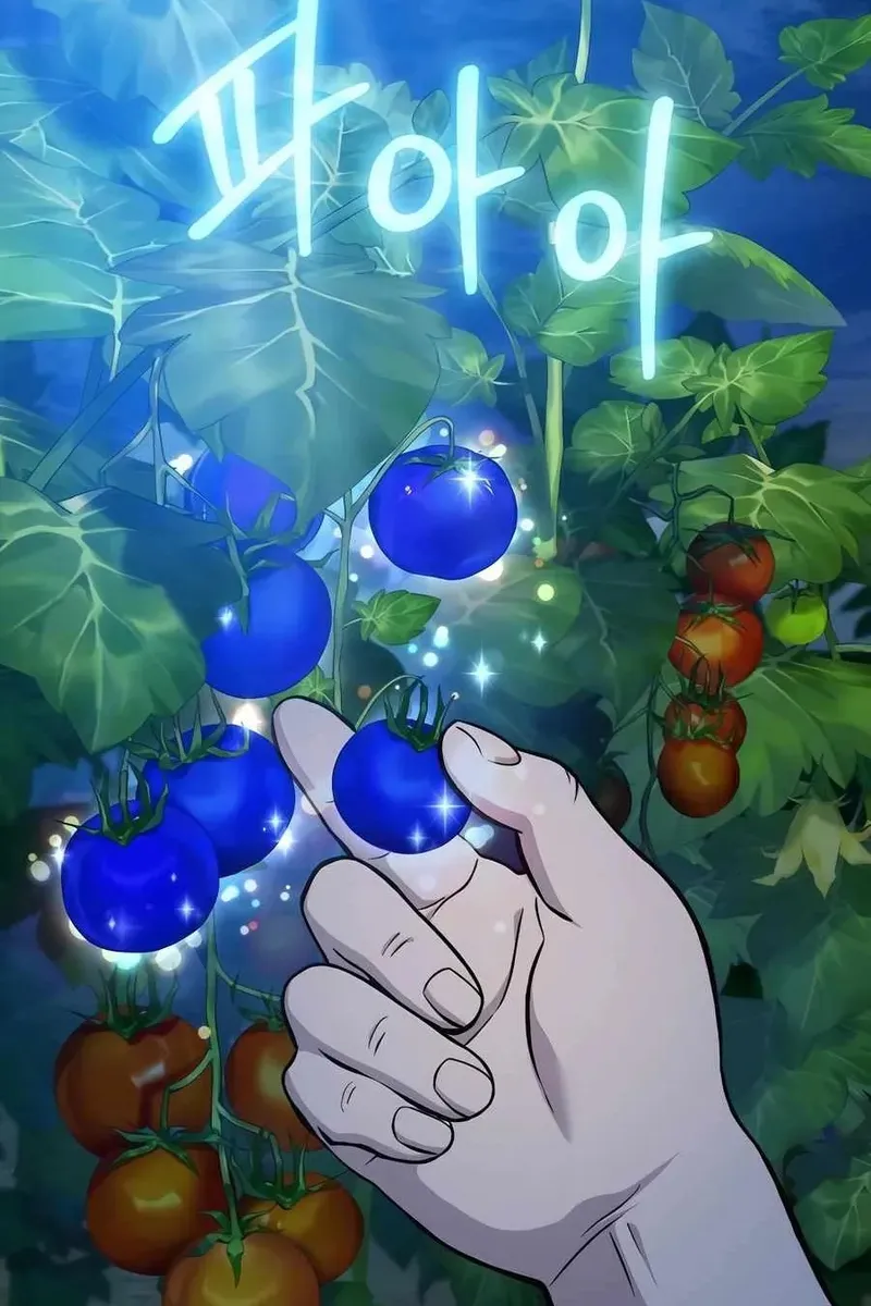Сторінка 17