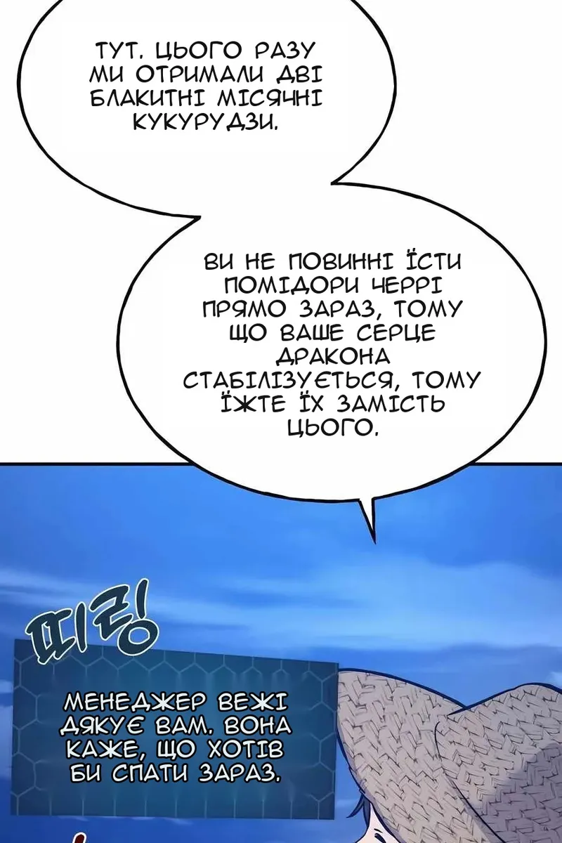 Сторінка 29
