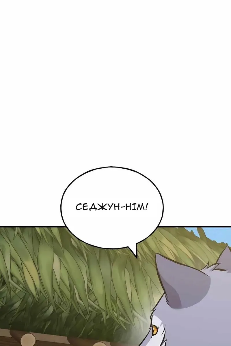 Сторінка 11