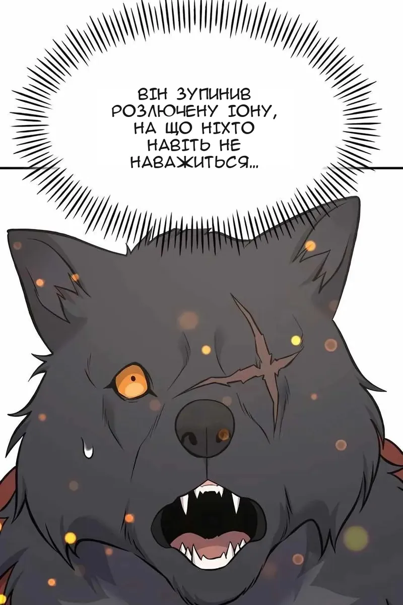 Сторінка 114