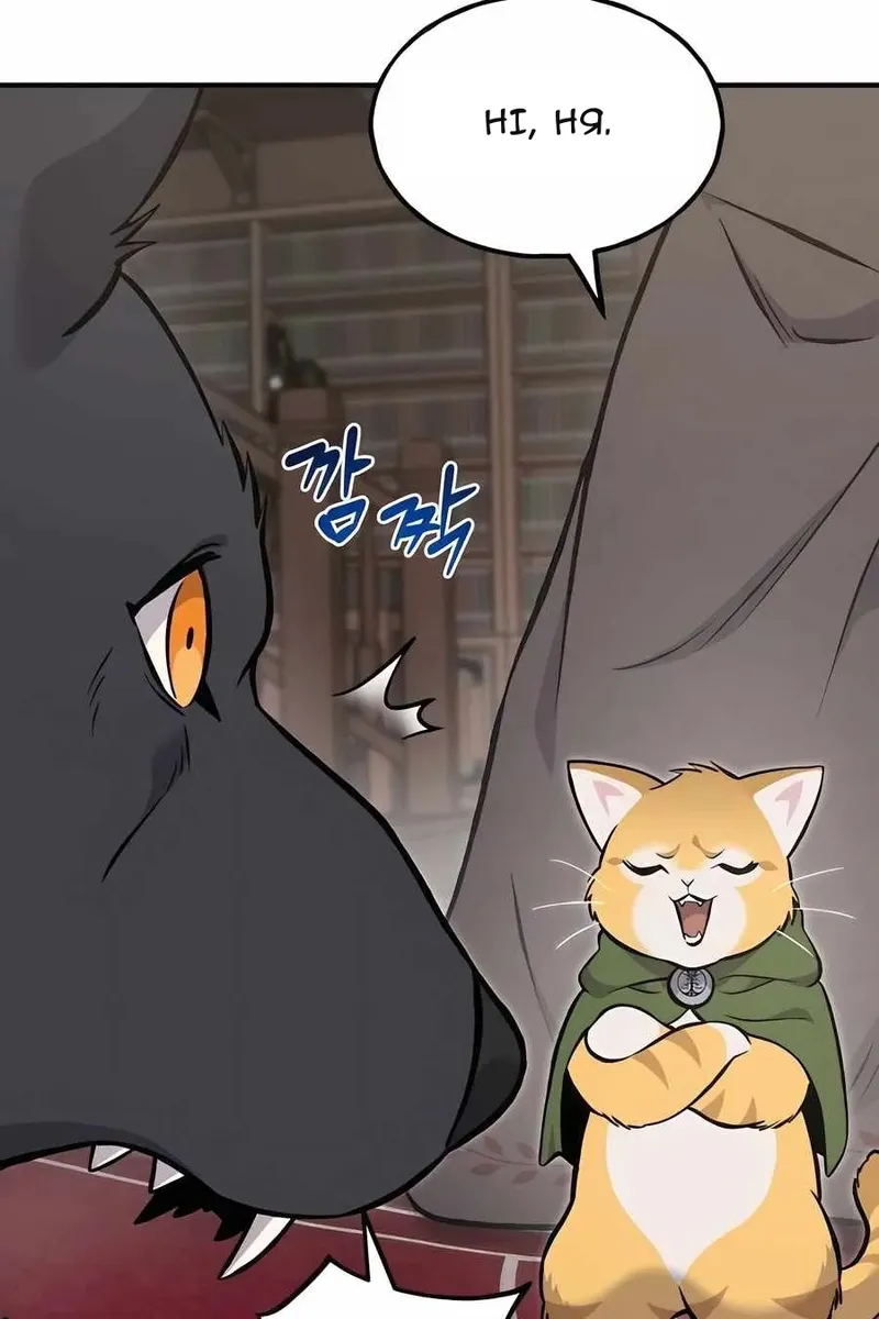 Сторінка 14
