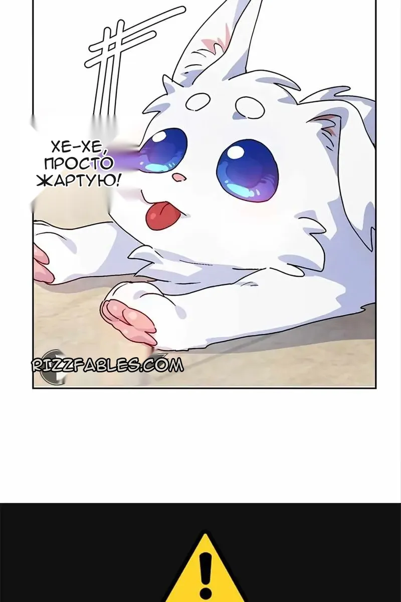 Сторінка 3