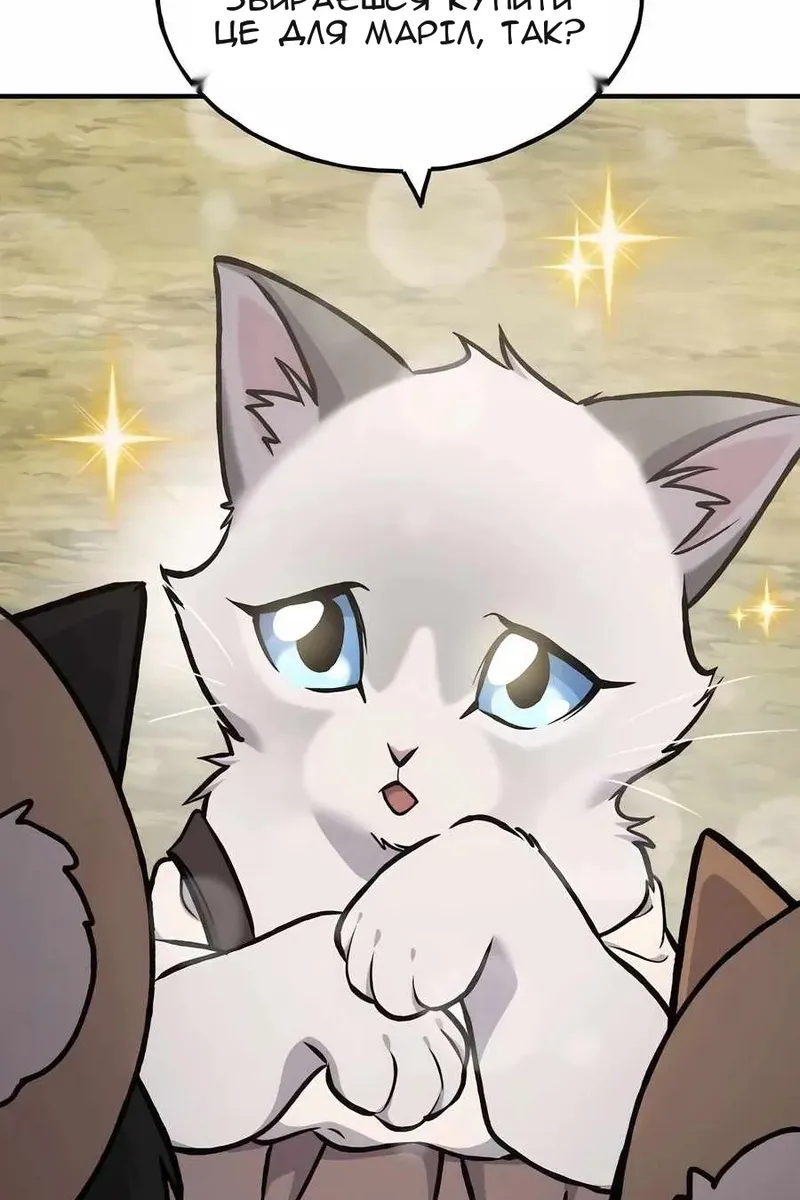 Сторінка 15