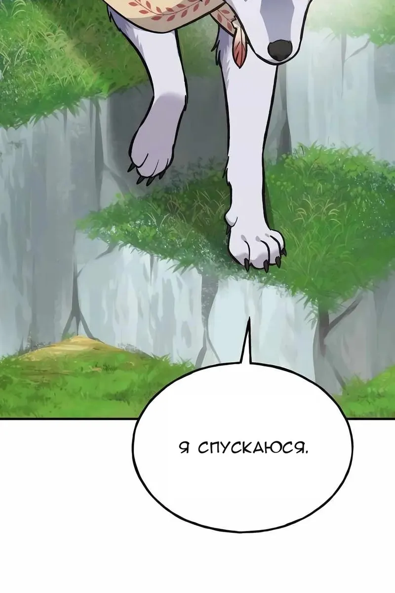 Сторінка 27