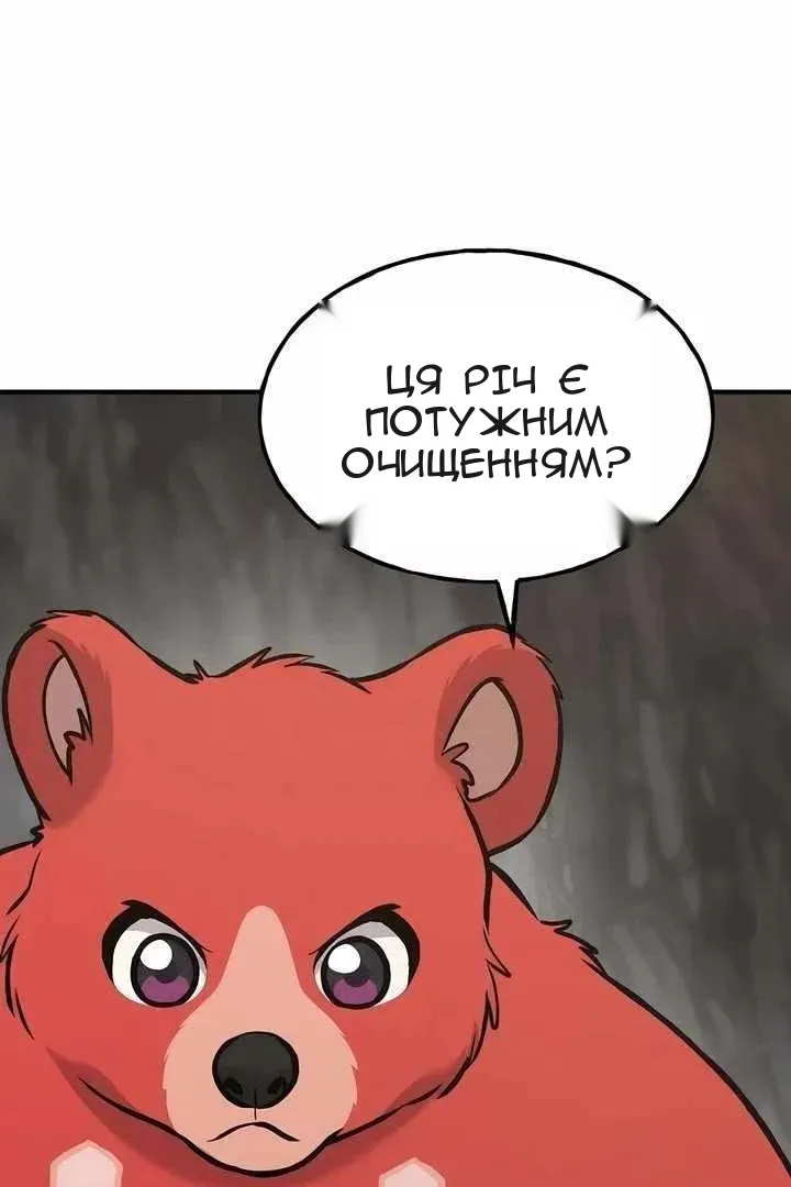 Сторінка 5