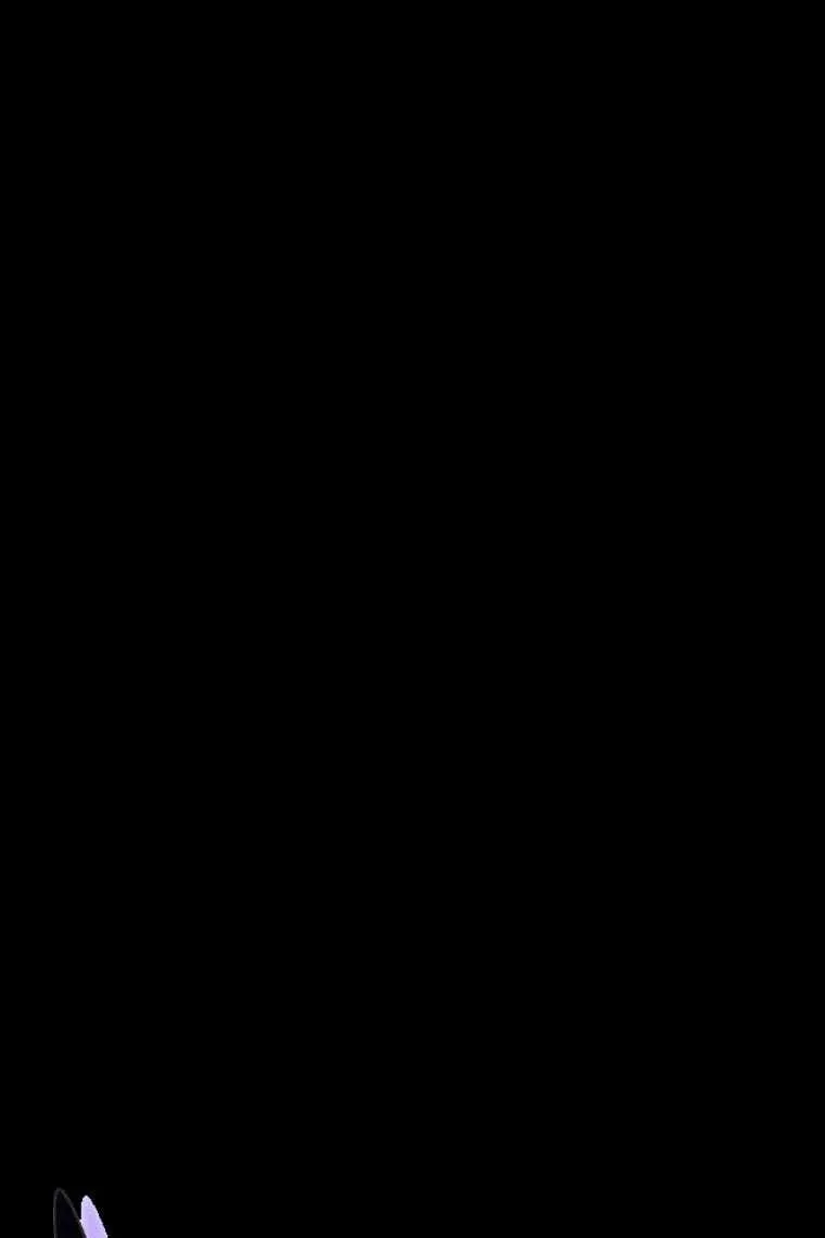 Сторінка 11