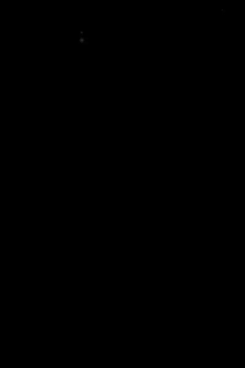 Сторінка 15