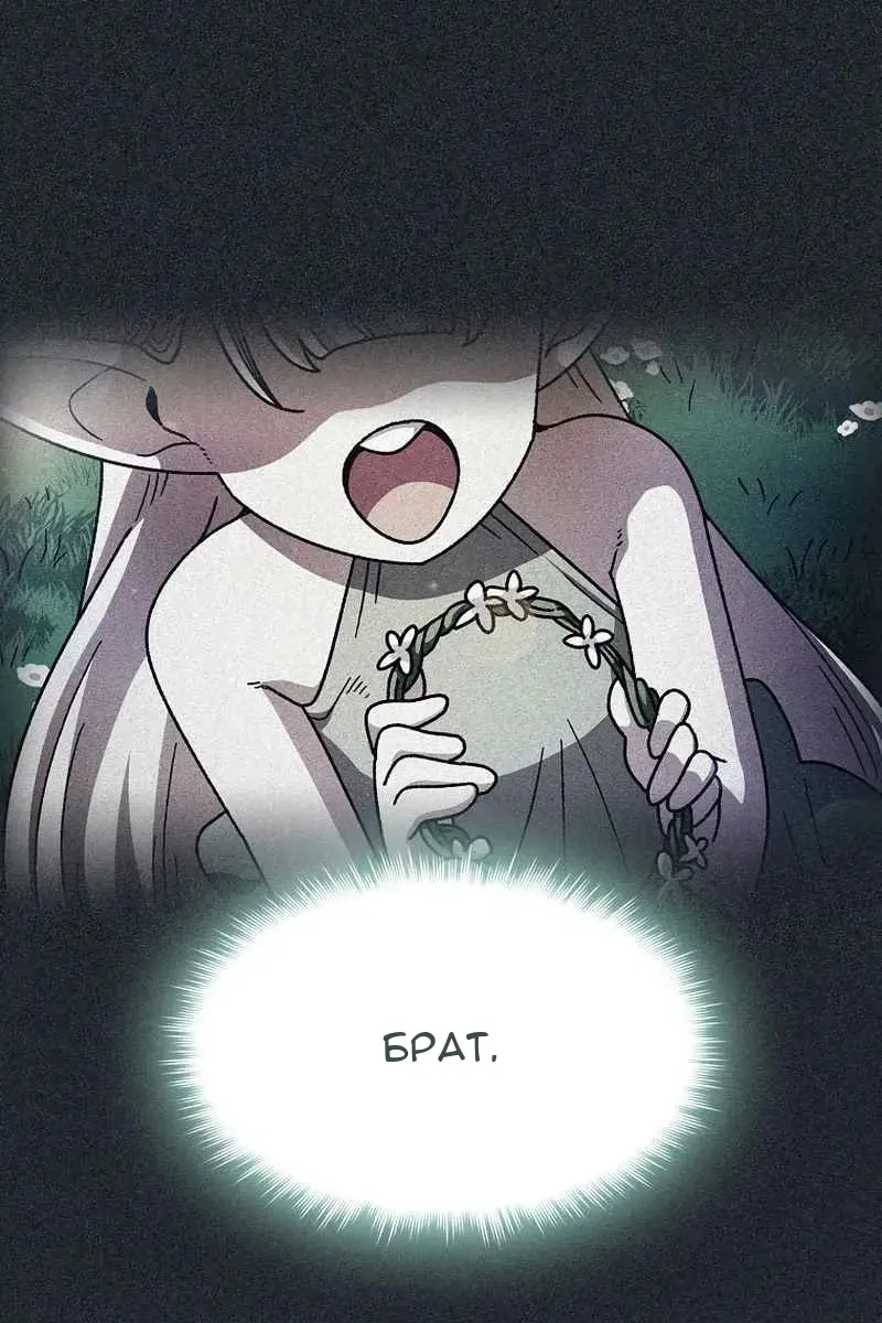 Сторінка 27