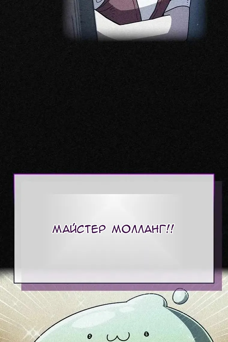 Сторінка 17