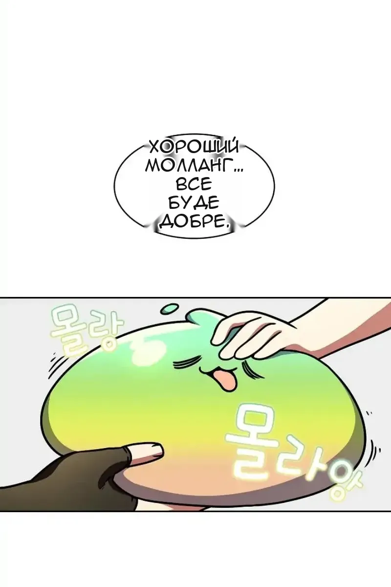 Сторінка 28