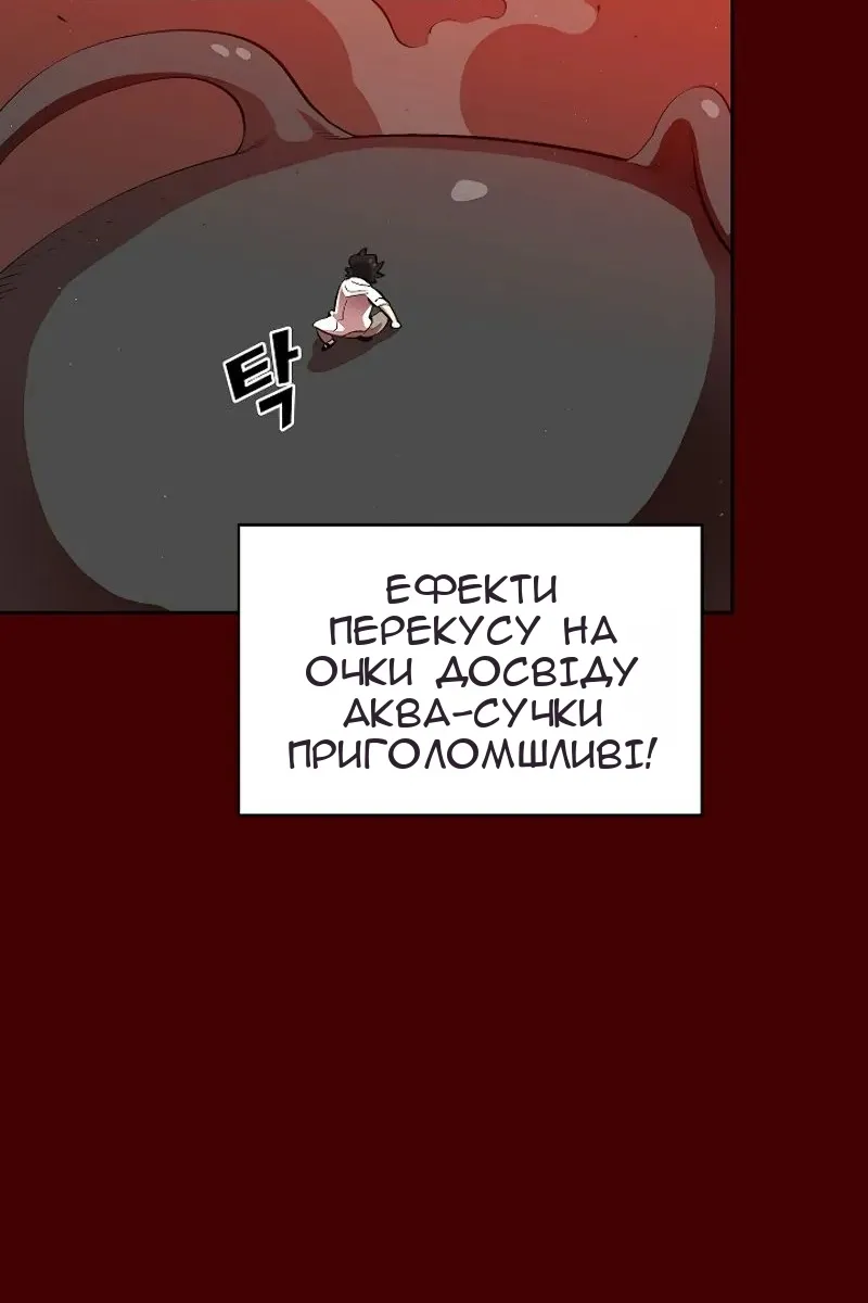 Сторінка 17
