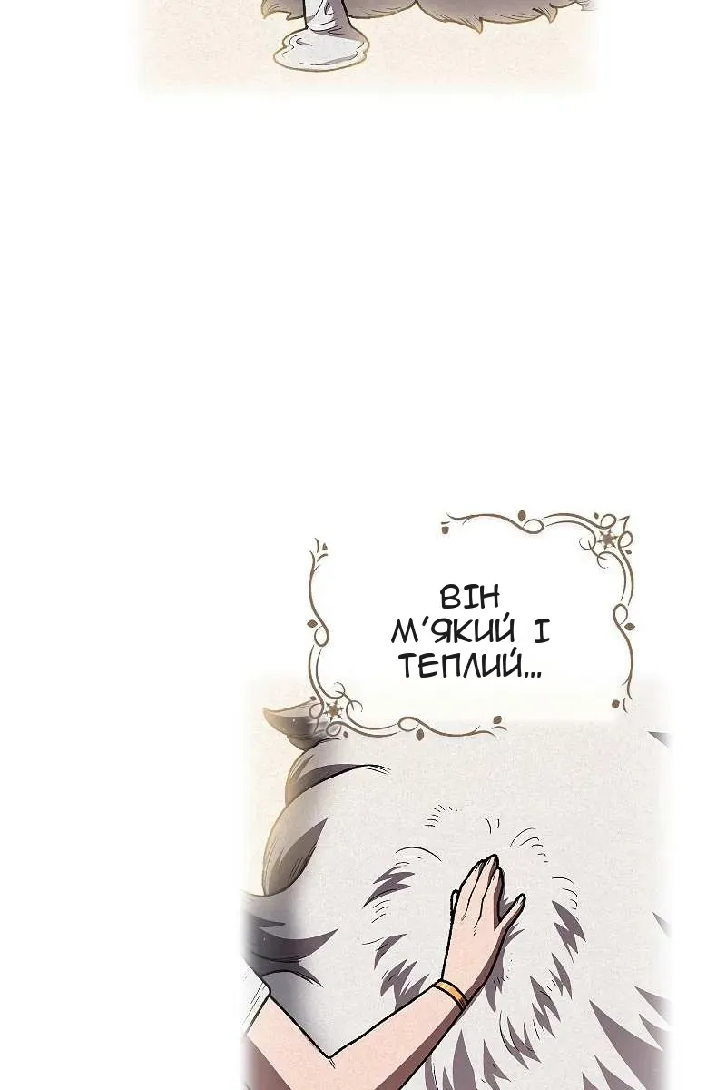 Сторінка 5