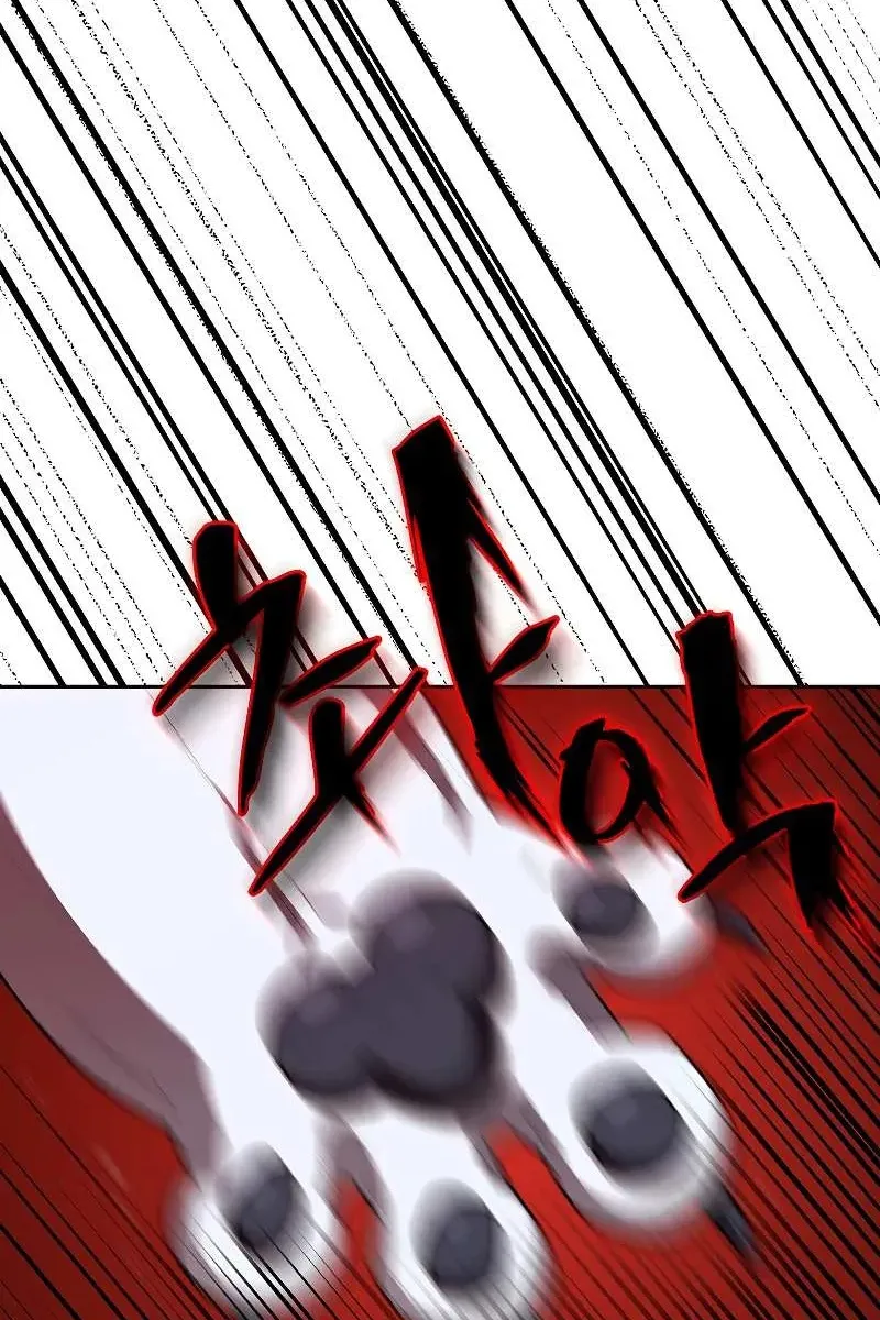 Сторінка 31