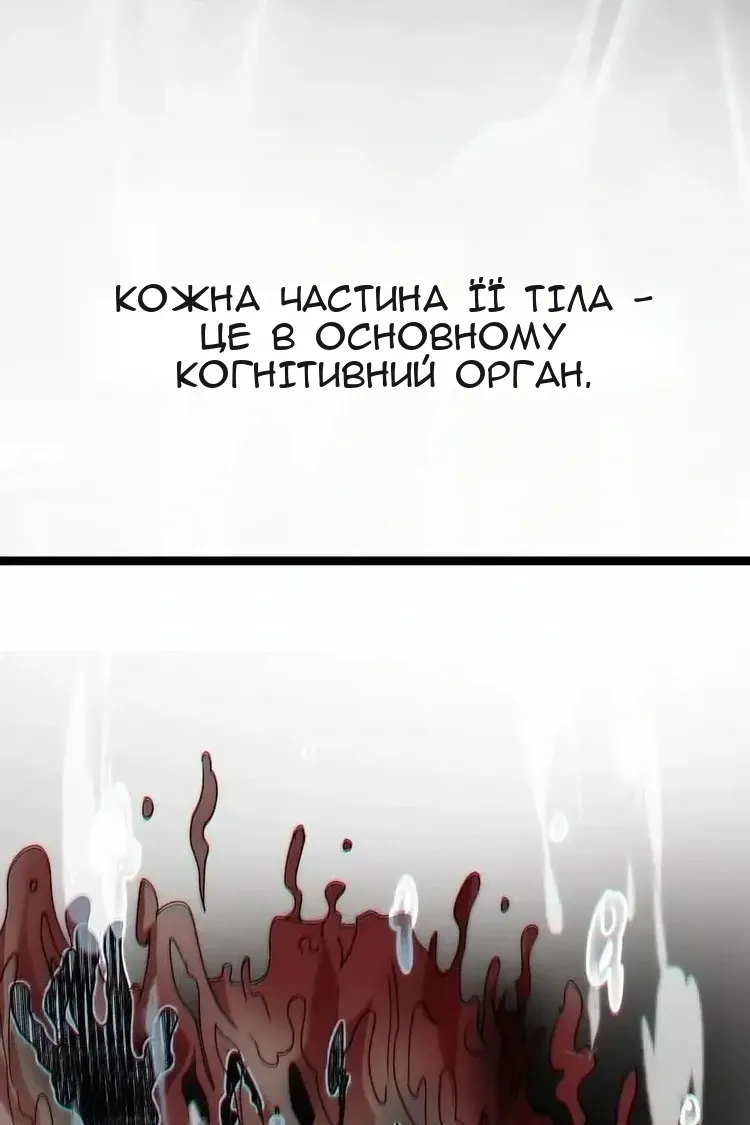 Сторінка 26