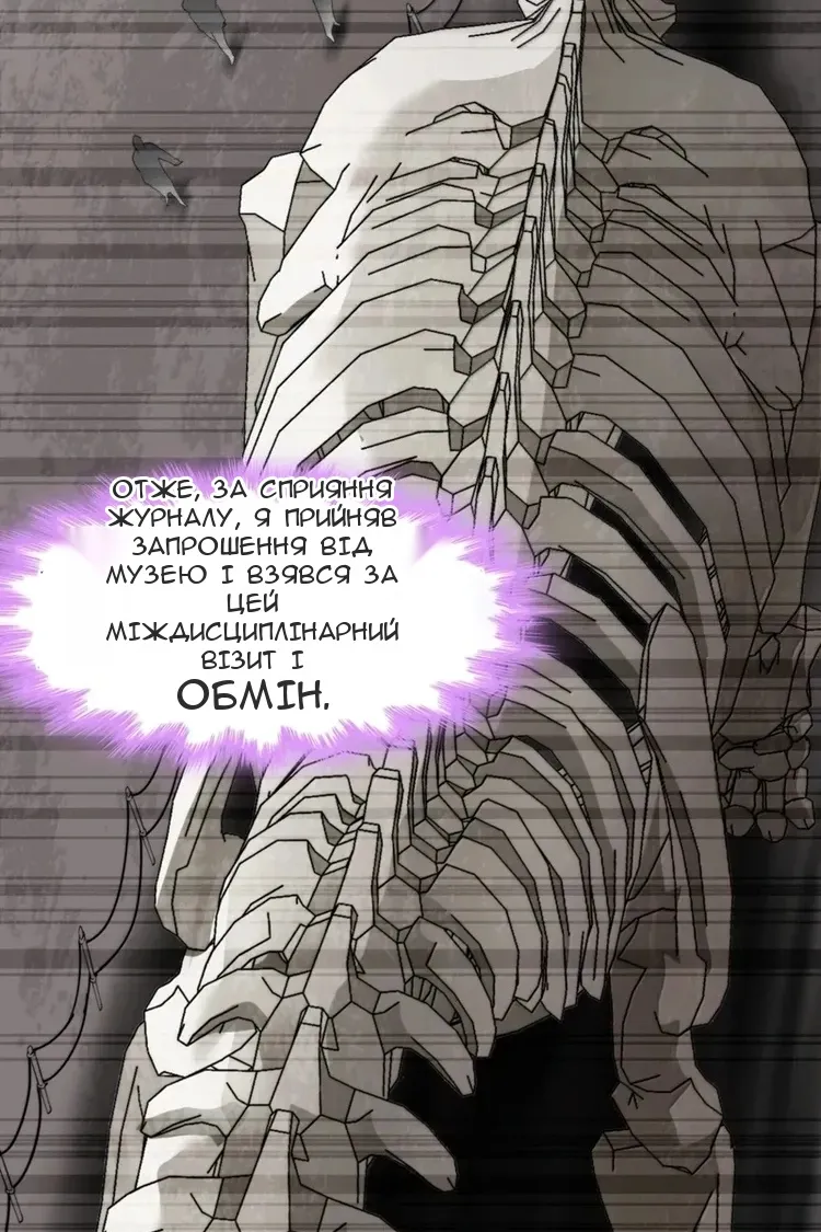 Сторінка 17