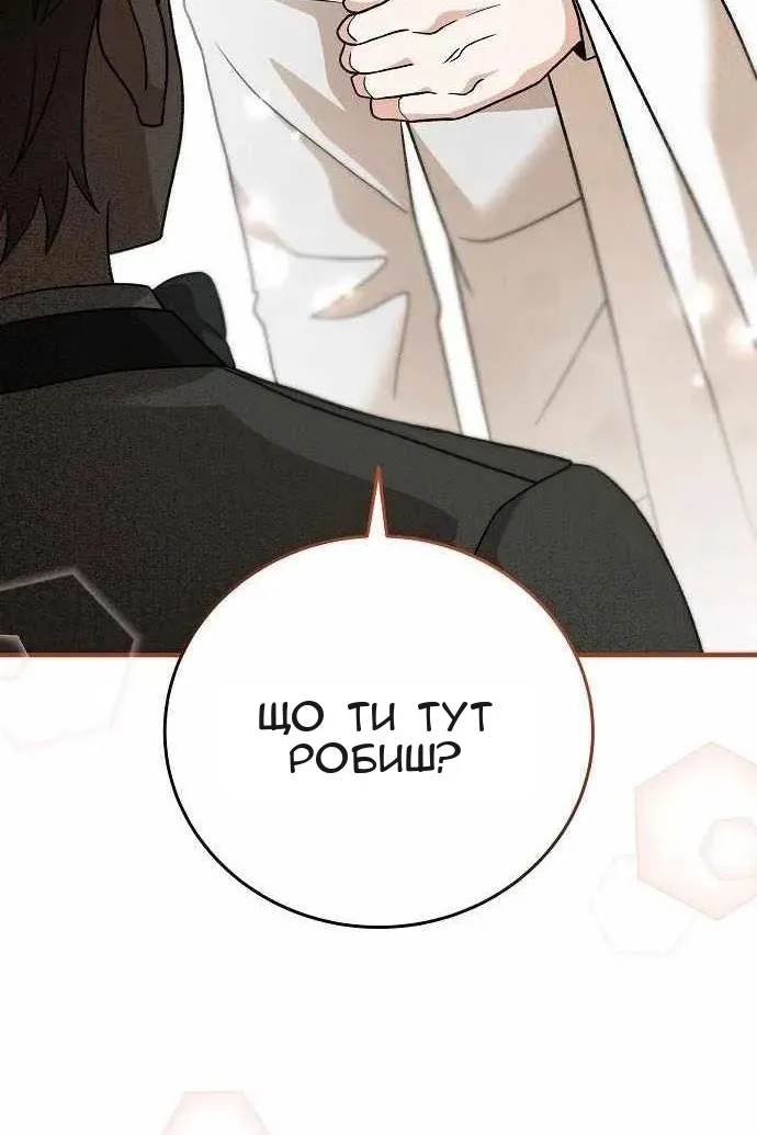Сторінка 116