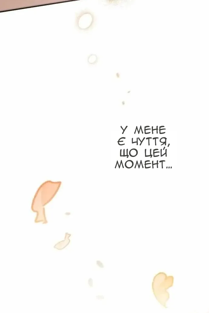 Сторінка 70