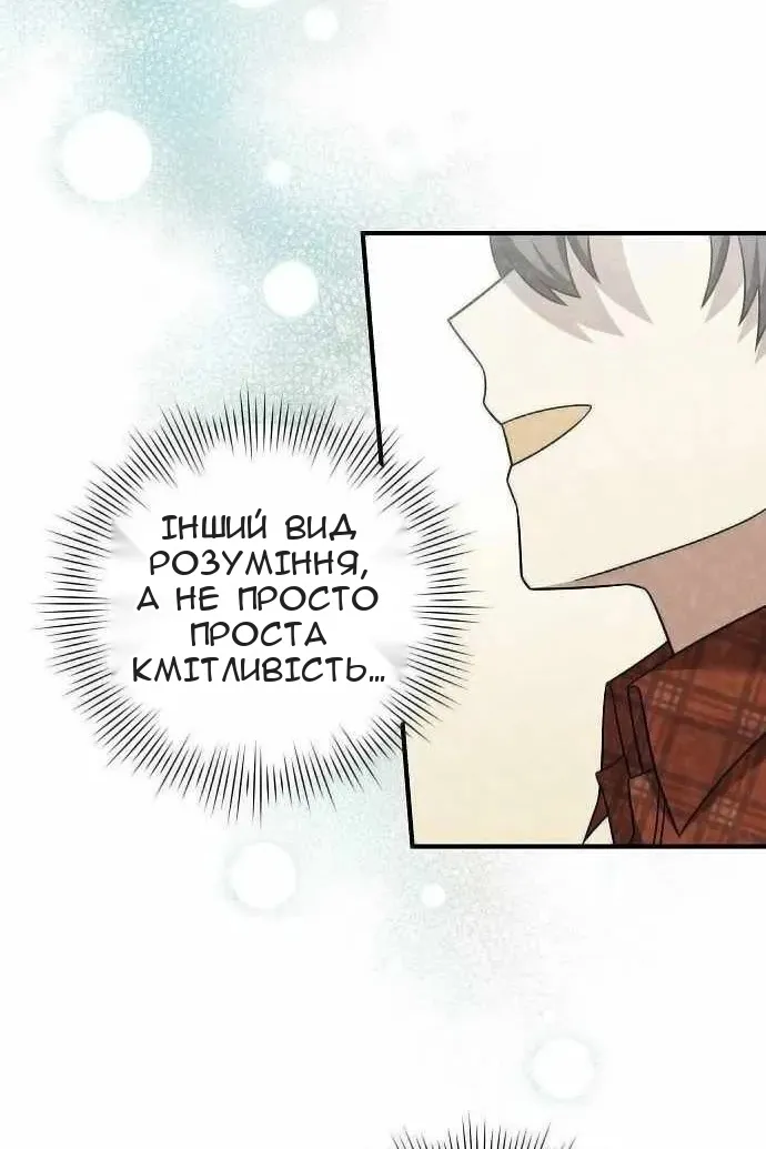 Сторінка 17
