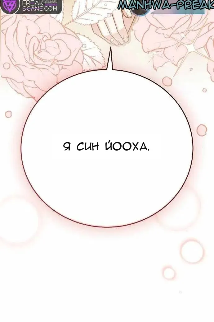 Сторінка 29