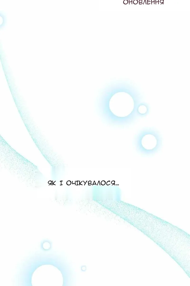 Сторінка 17