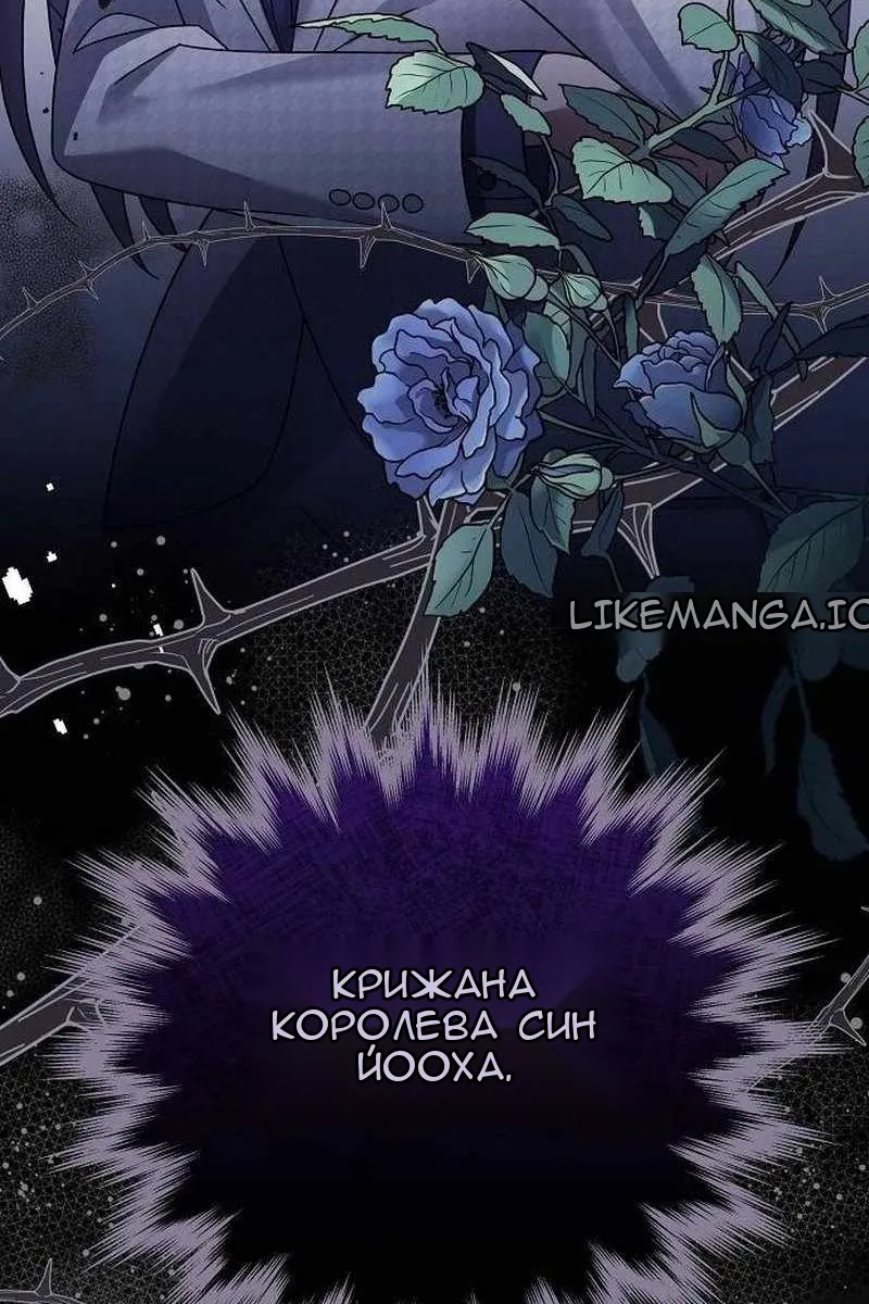 Сторінка 42