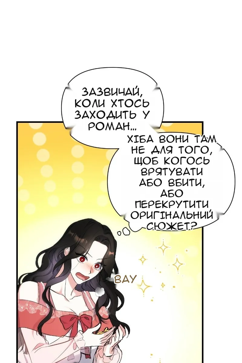 Сторінка 27