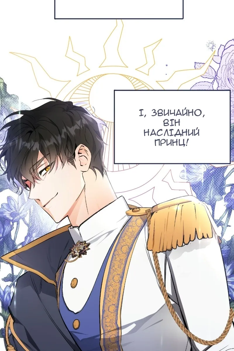 Сторінка 41