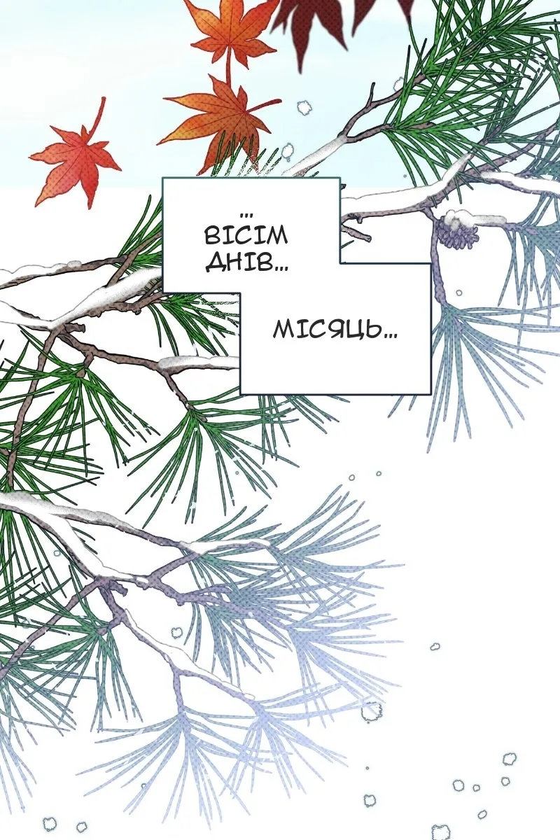 Сторінка 13