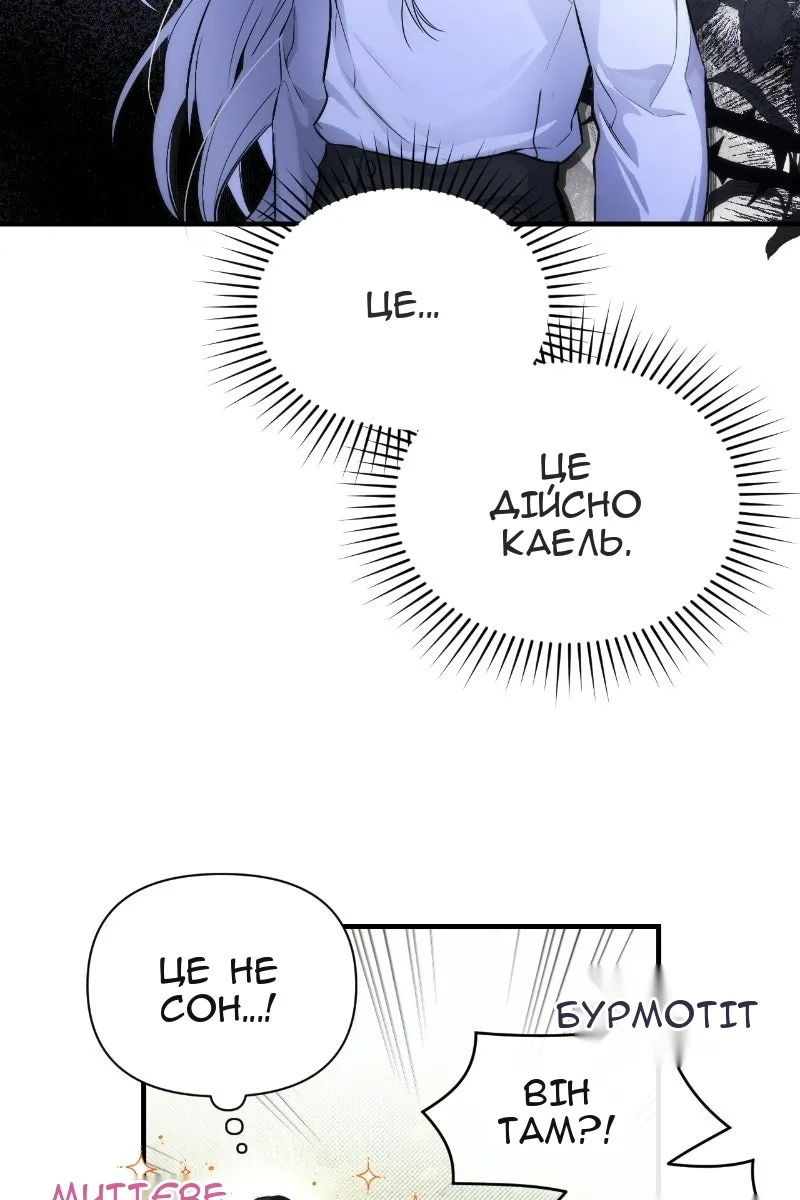 Сторінка 48