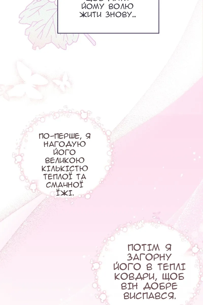 Сторінка 91
