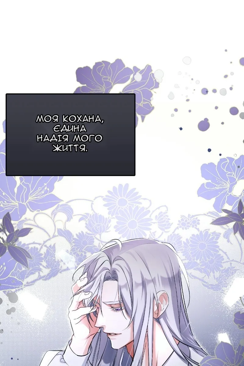 Сторінка 27
